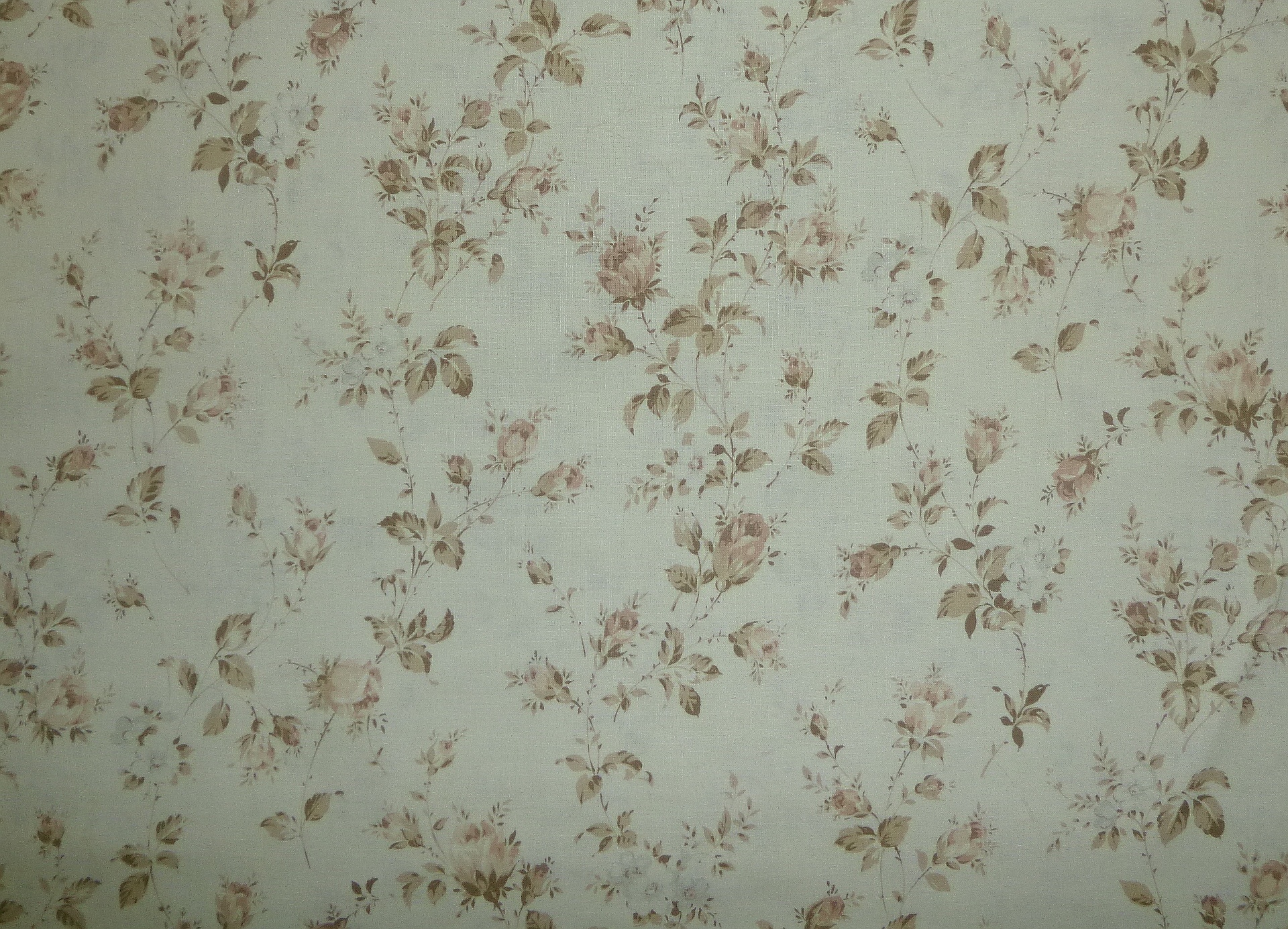 Stoff Rosen zartbeige Lecien Mrs. Marchs – Bild 3