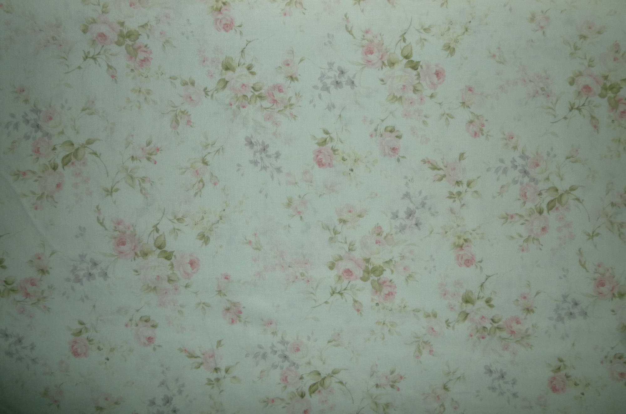 Stoff Rosen zartrosa auf beige Lecien