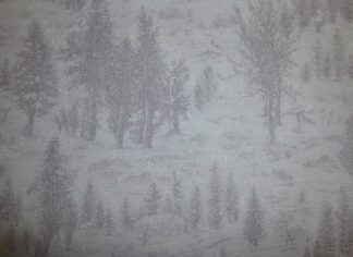 Winterstoff "Forest Frost II" Bäume von Moda