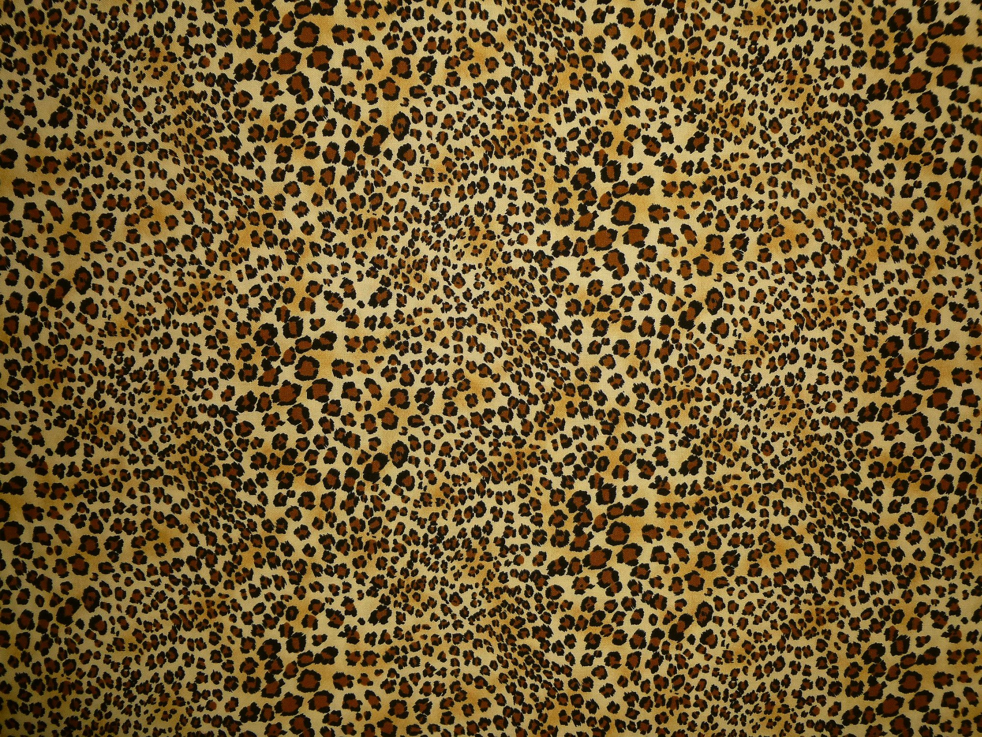 Stoff Leopardenfell – Bild 2