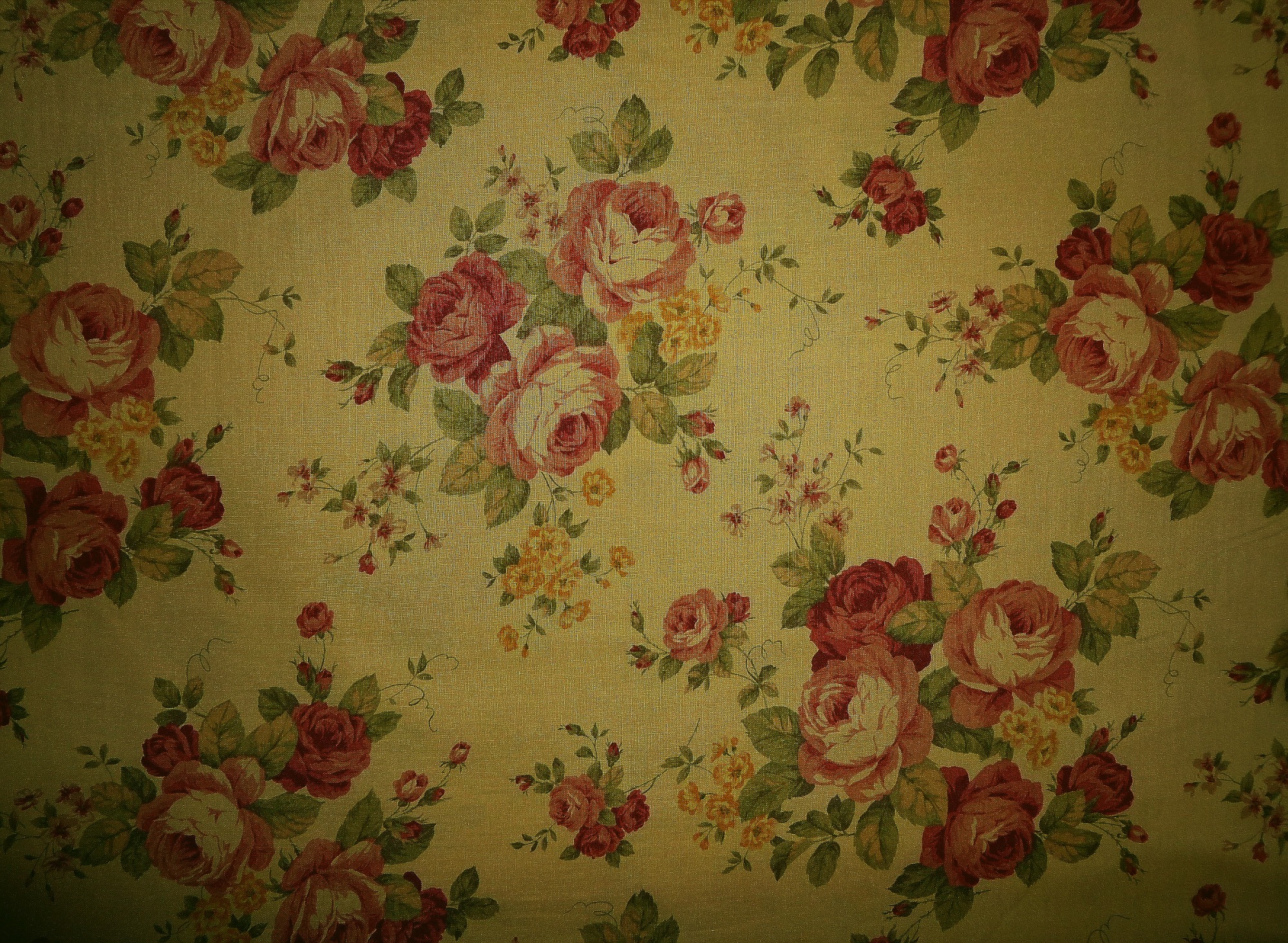 Stoff Rosen rosa auf gelblichbeige von Lecien